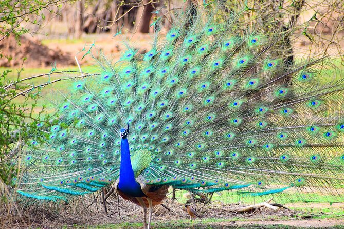 12-Days - Splendors of Golden Triangle & Rajasthan - The 12-Day Golden Triangle + Rajasthan Flow