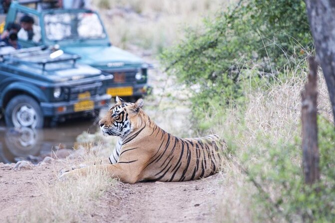 4 Day Golden Triangle with Ranthambore Tiger Safari Tour from Delhi - Key Highlights Worth Your Time