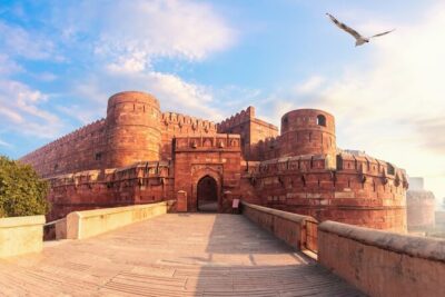 All Inclusive Private Taj Mahal Luxury Tour from Delhi by Car - Private Car, Private Guide: How the Day Stays Under Control