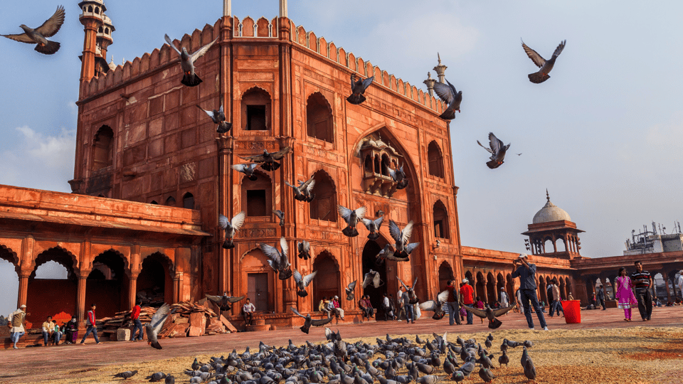 Delhi City Tour: Old, New, or Both – Half & Full Day Options - Key things that make this Delhi tour work