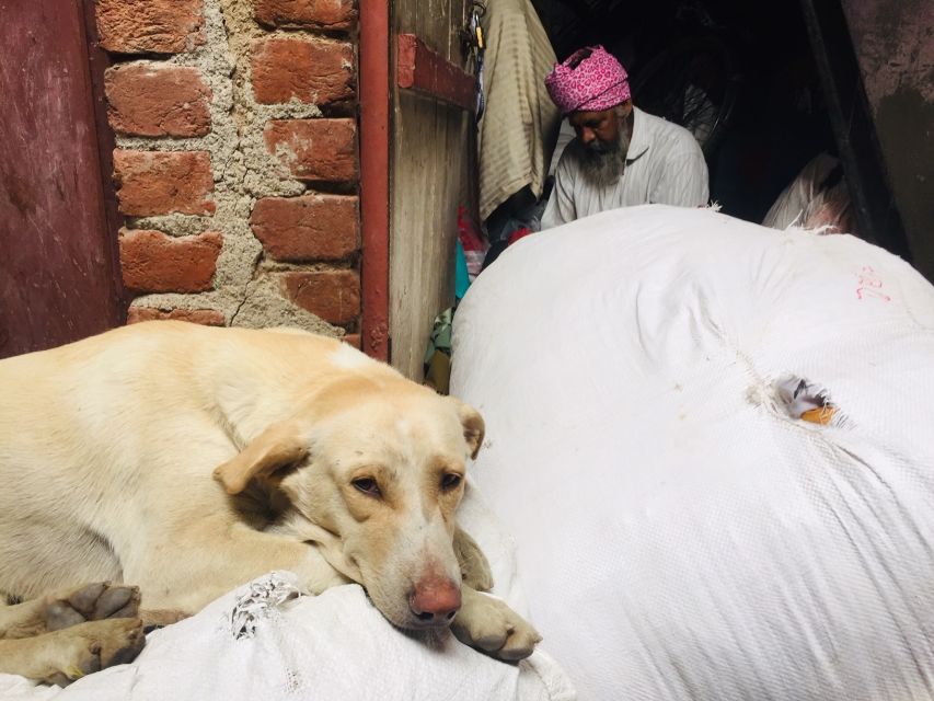 Delhi: Ethical Sanjay Colony Slum Tour - The main event: garment recycling and the micro-industries behind daily income