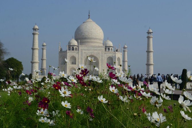 Delhi to Agra and Taj Mahal Private Day Trip by Express Train with Lunch - The Taj Mahal experience: VIP bench photo and a real guide