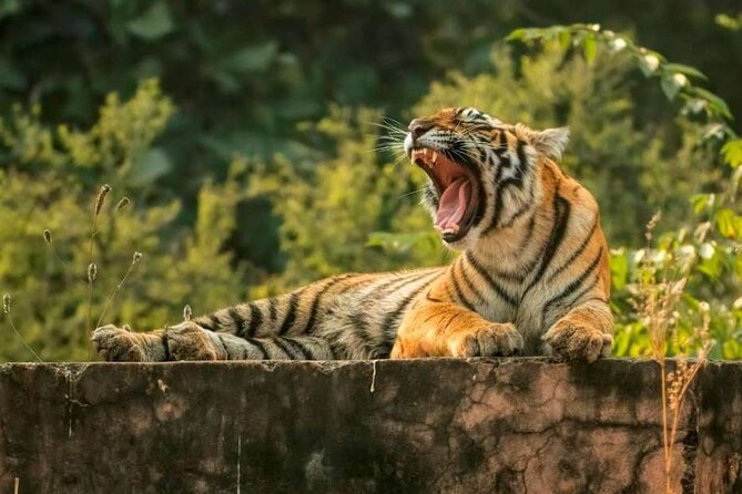 From Delhi : 6 Days Delhi, Jaipur, Agra & Ranthambore By Car - Key highlights worth your attention