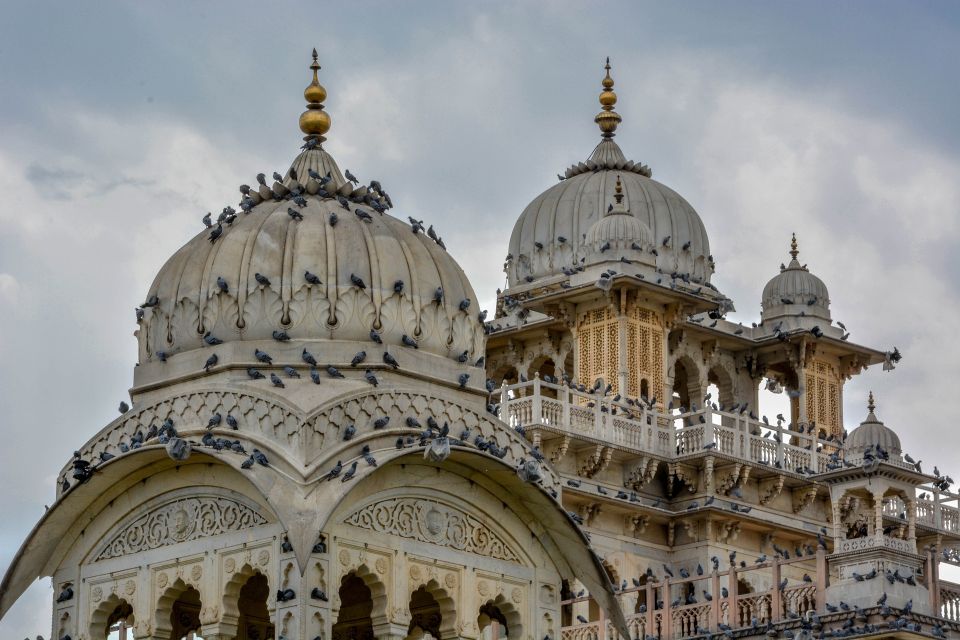 From Delhi: Jaipur Day Trip by Fast Train or Private Car - Panna Meena Ka Kund Stepwell and Monkey Temple: More Than Another Fort Stop
