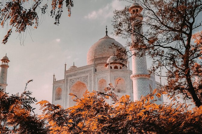 From Delhi : Private Day Trip to Taj Mahal & Agra Fort by Car - All Inclusive - Guides in Real Life: The Picture-Friendly Detail