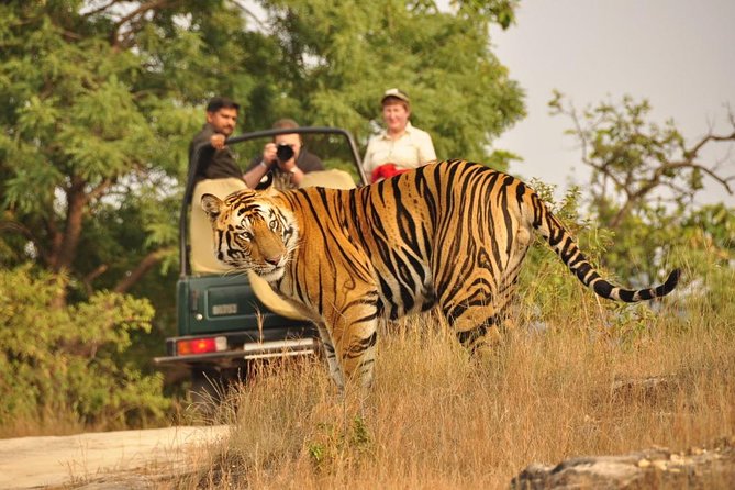 Golden Triangle with Wildlife and Royal Castle Stay - Ranthambore National Park safari plus Talabgaon Castle: the heart of the trip