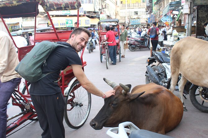 Old Delhi Food Tour Safari - The Capital of Flavors - The Meeting Point: Start Smooth, Not Stressed