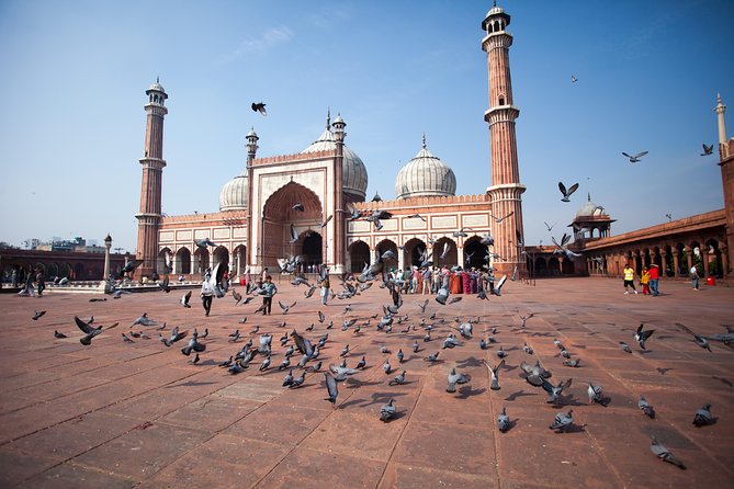 Old Delhi Street Food Tour – Explore Spices in Chandni Chowk - Khari Baoli spice market: the lanes where turmeric and chili are the stars