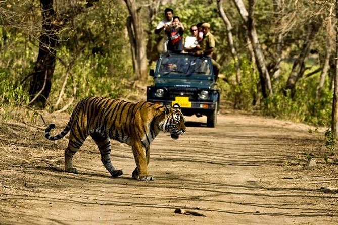 Private 5-Day Ranthambhore Tiger Tour from Delhi including the Taj Mahal, Agra and Jaipur - Delhi highlights: Humayun’s Tomb, Qutub Minar, Lotus Temple, India Gate